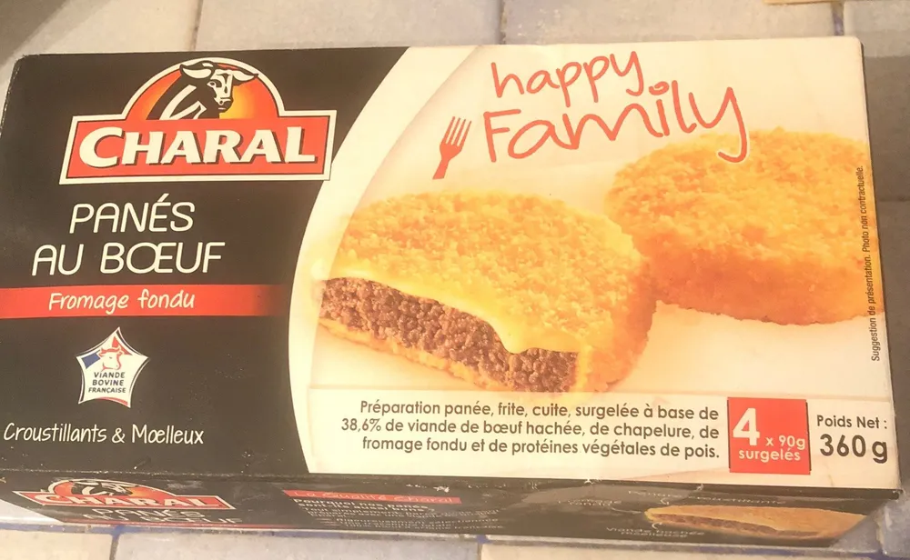 Panés au boeuf au fromage fondu