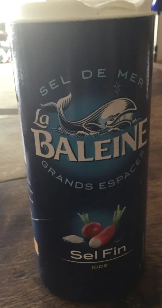 Sel fin iodé