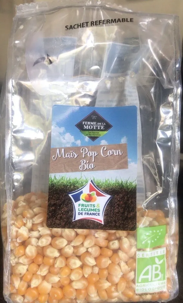 Maïs pop corn bio