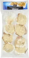 Coquilles saint-jacques*