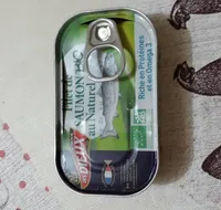 Filet de saumon bio au naturel