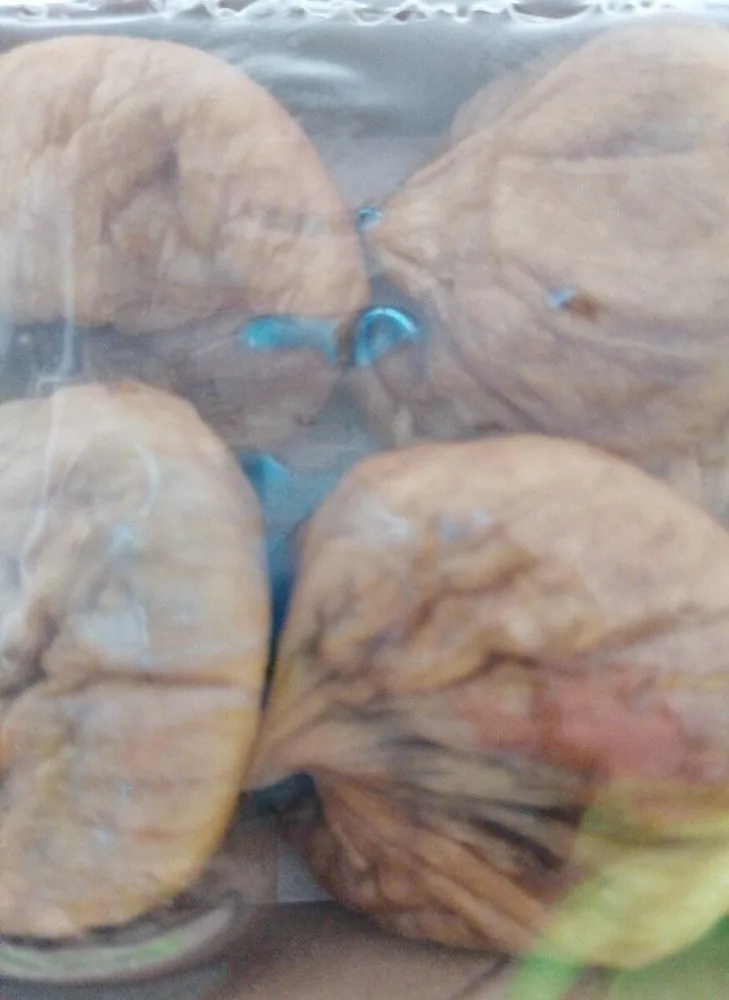 Figues sèches Protoben