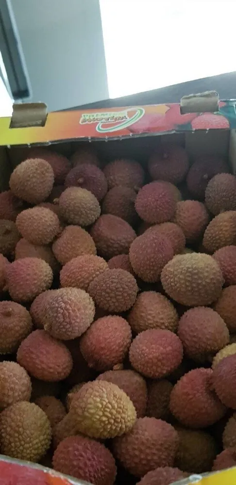 Litchi