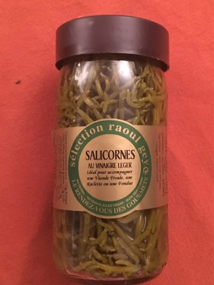 Salicornes