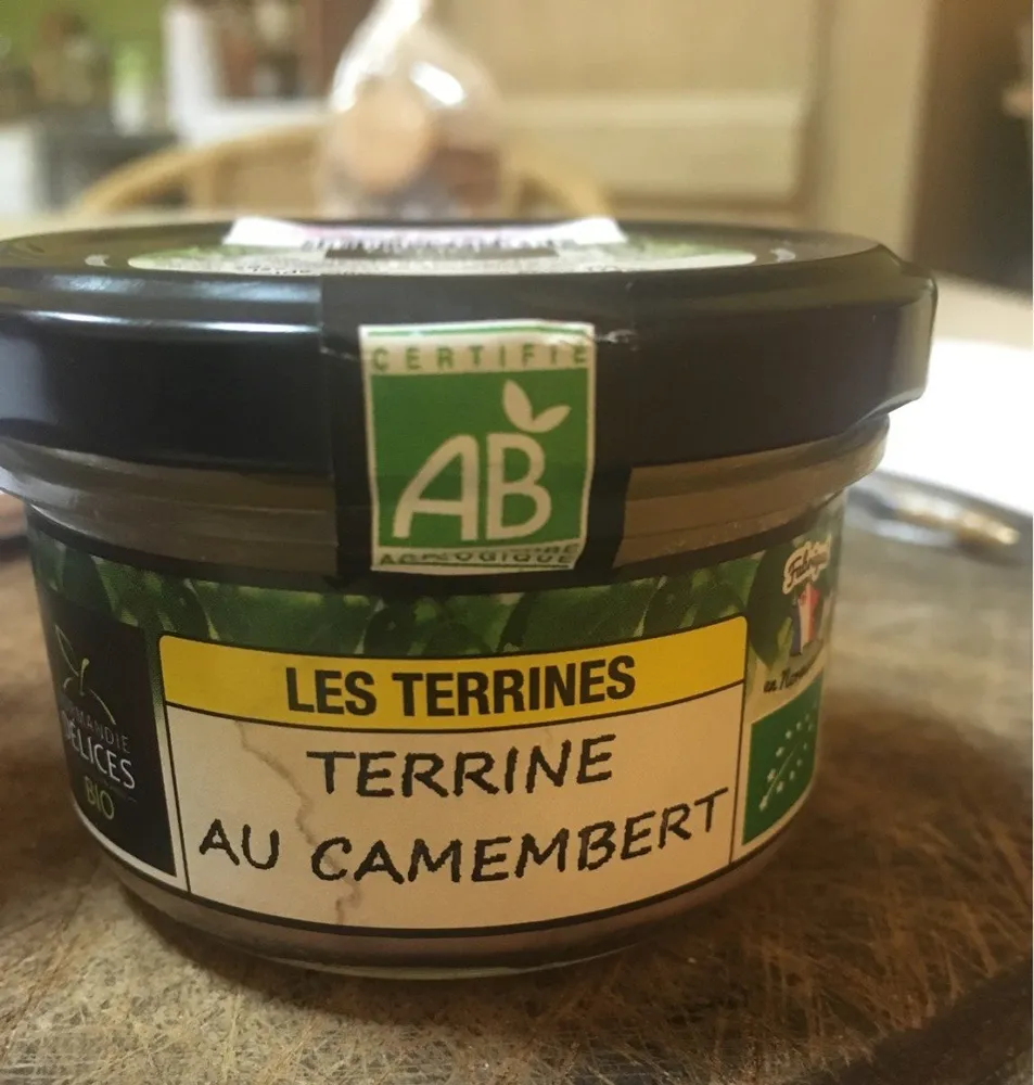Terrine au camenbert