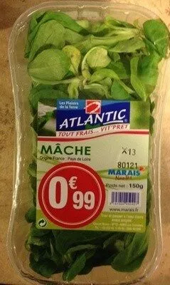 Mâche