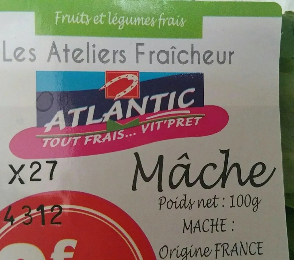 Mâche
