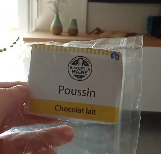 Poussin