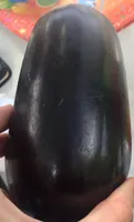 Aubergine