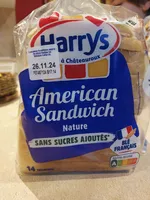 American Sandwich Nature