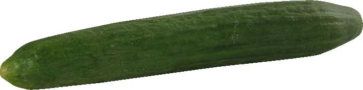 Concombre bio France pièce