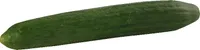 Concombre bio France pièce
