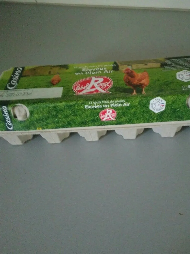 Œuf de poule en plaine air
