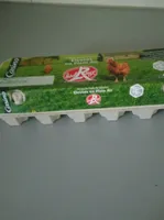 Œuf de poule en plaine air