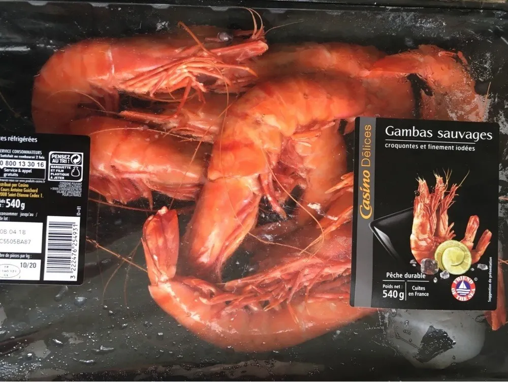 Gambas sauvages