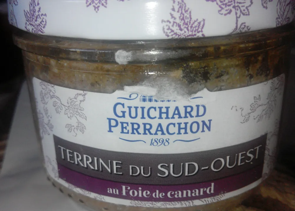 Terrine au foie de canard recette du sudouest