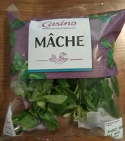 Mâche