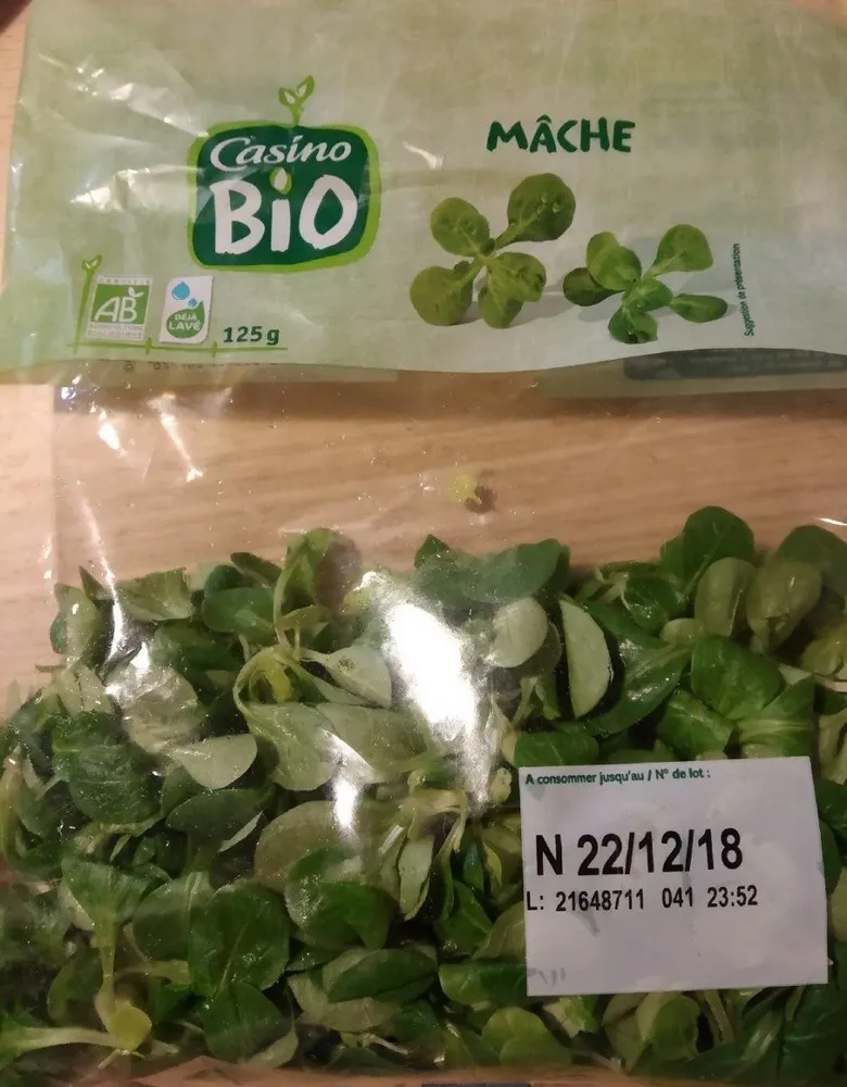 Mâche