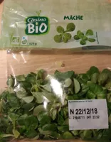 Mâche