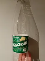 Ginger Ale