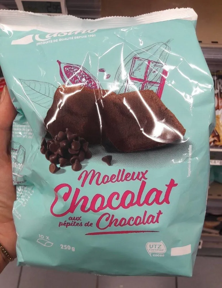 Moelleux chocolat aux pépites de chocolat