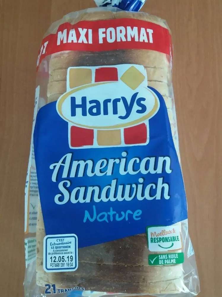 American Sandwich Nature