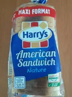 American Sandwich Nature