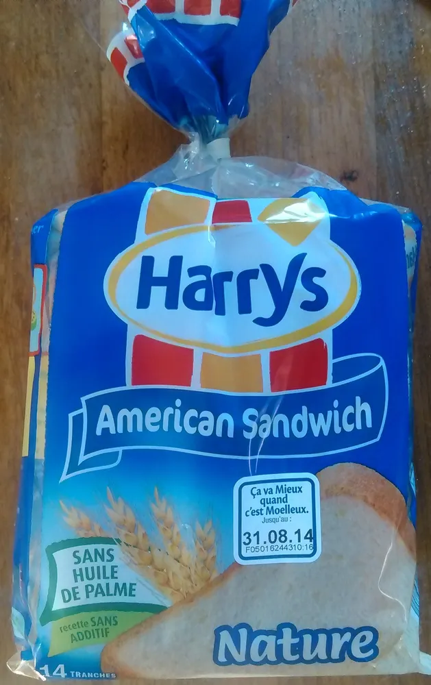 American Sandwich nature
