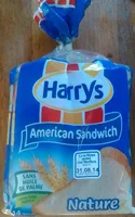 American Sandwich nature