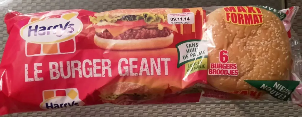 Le Burger géant
