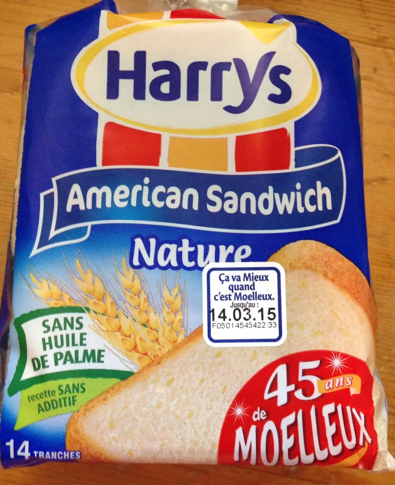 American Sandwich nature