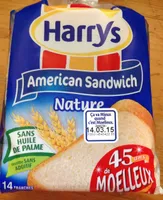 American Sandwich nature