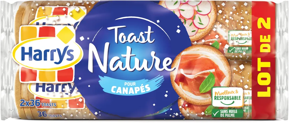 Lot 2 toasts pour canapés