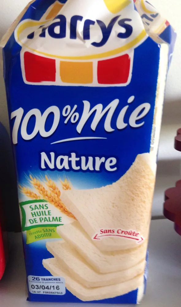 100% mie nature pt maxi