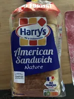 American Sandwich Nature