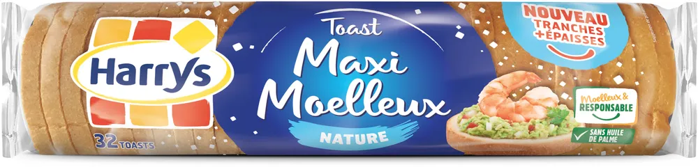 Toasts nature tranches épaisses