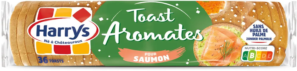Toast saumon