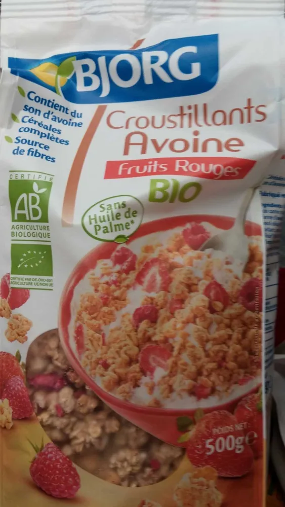 Croustillant Avoine Fruits Rouge Bio