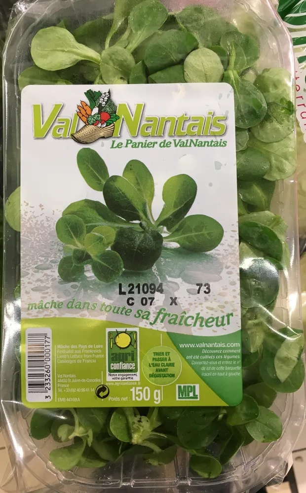 Mâche des Pays de Loire