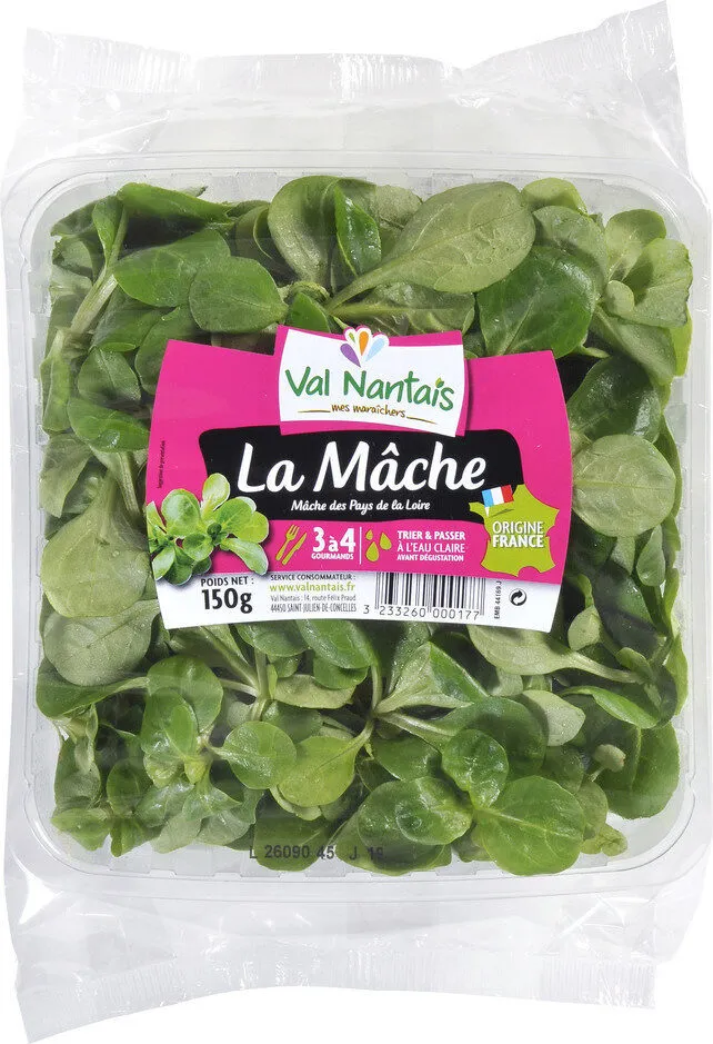 Mâche