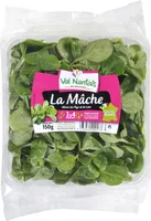 Mâche