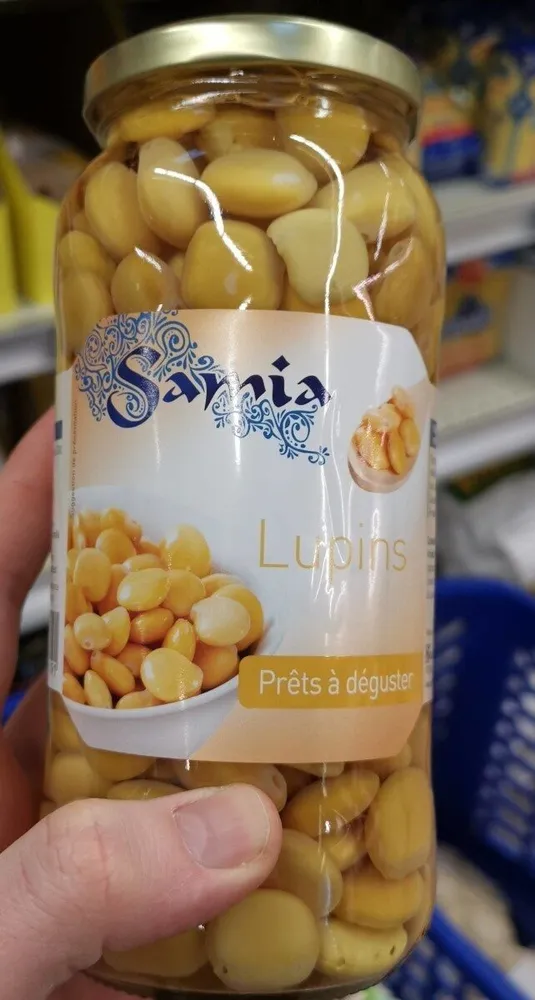 Lupins
