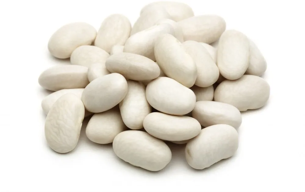 Haricots blancs