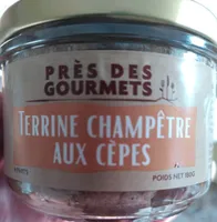 Terrine champêtre aux cèpes