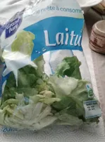 Laitue