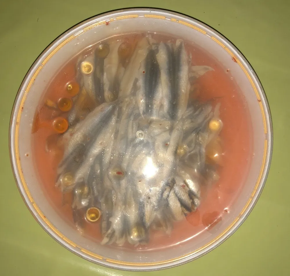 Filets d'Anchois Marinés à l'oriental