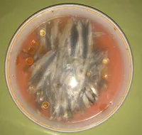 Filets d'Anchois Marinés à l'oriental