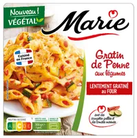 Gratin de Penne aux Legumes