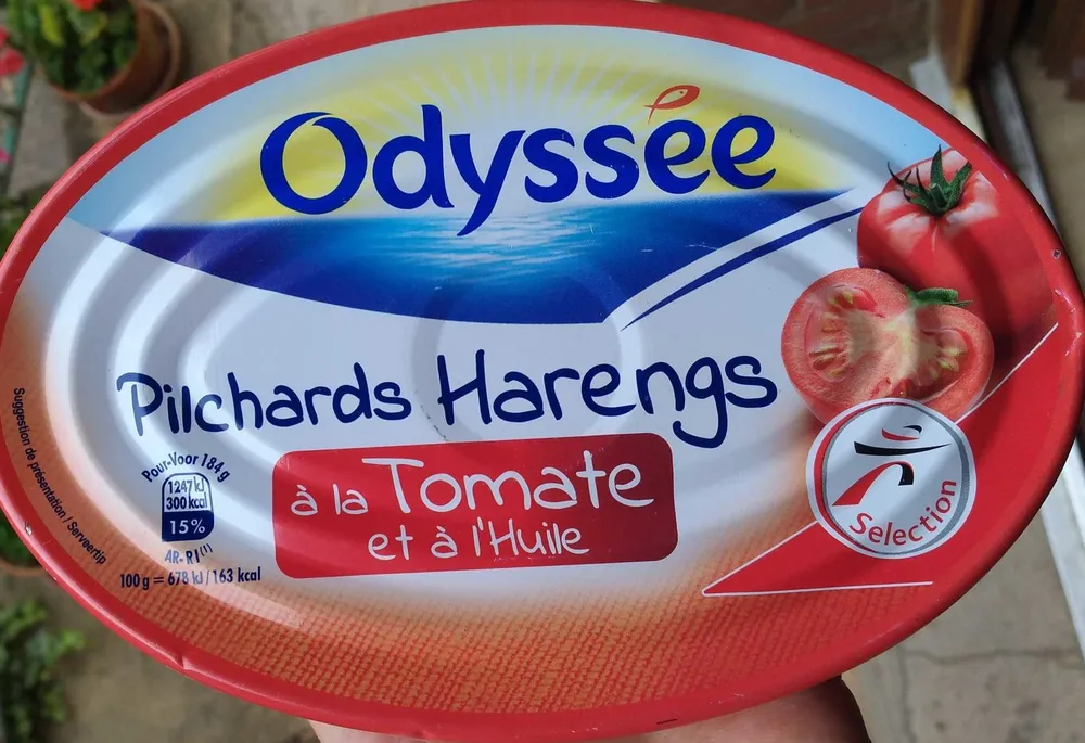 Pilchards Harengs à La Tomate Et à L'huile, La Boîte, 367g