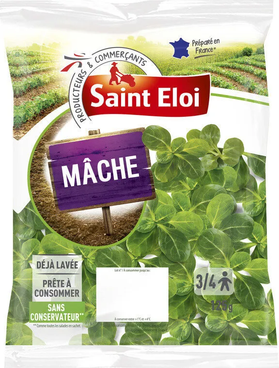 Mâche